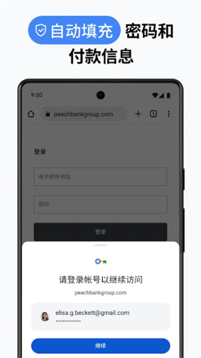 chrome截图2