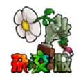 pvz杂交版