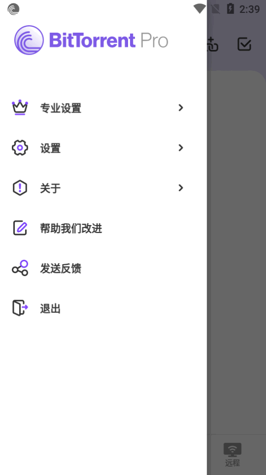 BitTorrent Pro截图2