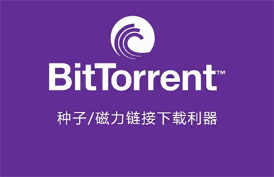 BitTorrent Pro