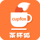 Cupfox茶杯狐