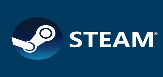 Steam版本大全