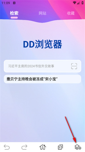 DD浏览器