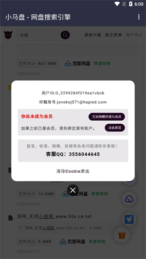 小马盘截图2