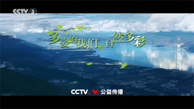 爱尚电视TV截图2