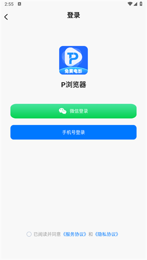 P浏览器截图1