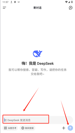 DeepSeek谷歌版