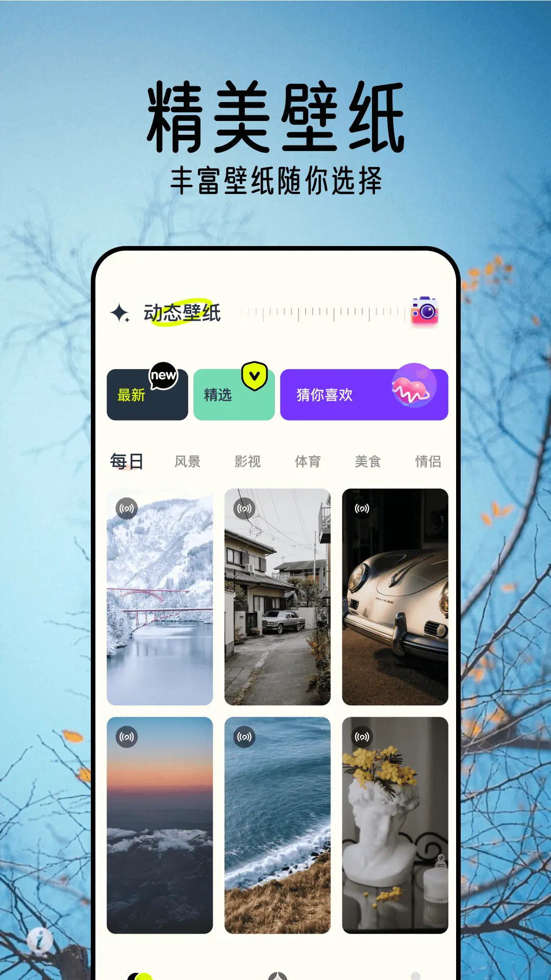 桌面壁纸精灵截图4