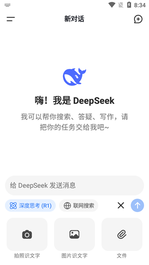 deepseek满血版截图1