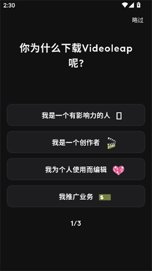 videoleap截图3