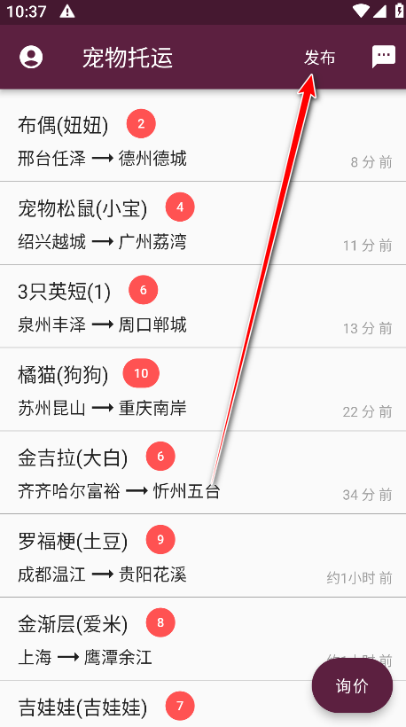 宠物托运