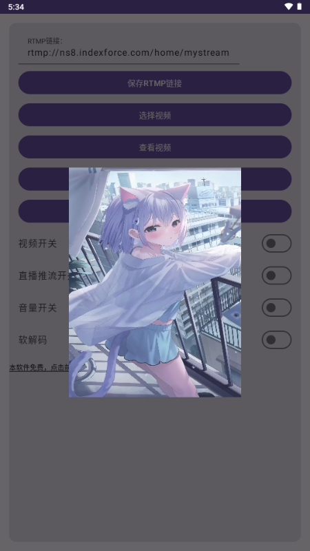 VCAMSX截图2