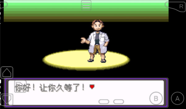 口袋妖怪漆黑的魅影5.0截图2
