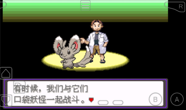 口袋妖怪漆黑的魅影5.0截图5