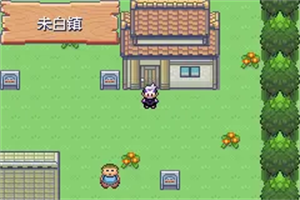 口袋妖怪漆黑的魅影5.0