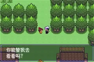 口袋妖怪漆黑的魅影5.0