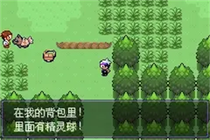 口袋妖怪漆黑的魅影5.0
