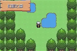 口袋妖怪漆黑的魅影5.0