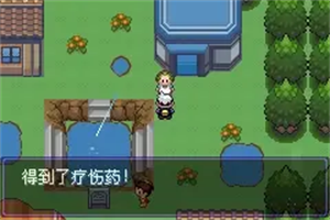 口袋妖怪漆黑的魅影5.0
