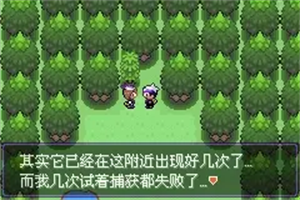 口袋妖怪漆黑的魅影5.0