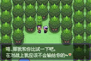 口袋妖怪漆黑的魅影5.0
