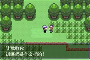 口袋妖怪漆黑的魅影5.0