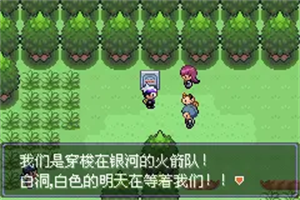 口袋妖怪漆黑的魅影5.0