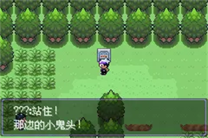 口袋妖怪漆黑的魅影5.0