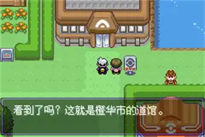 口袋妖怪漆黑的魅影5.0