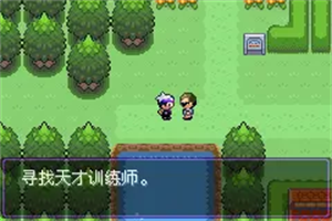 口袋妖怪漆黑的魅影5.0