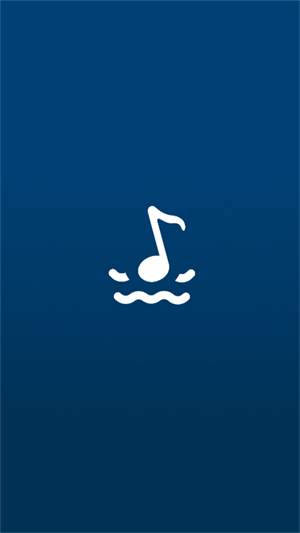 音流截图1