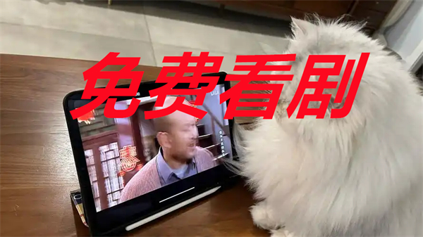 免费看剧