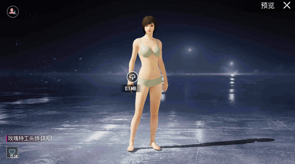 pubg兼容版截图4