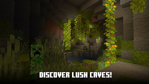 Minecraft1.21国际版2
