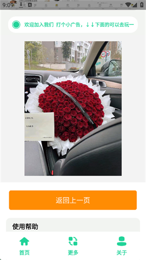 520束玫瑰花图截图1