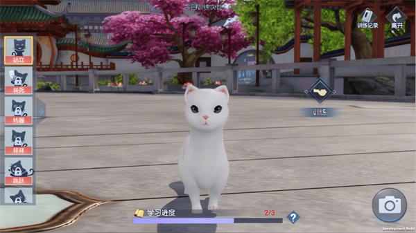 浮生为卿歌