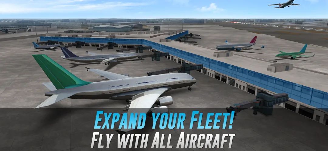 航空公司指挥官