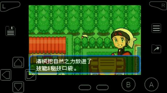 口袋妖怪究极绿宝石