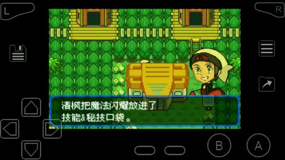 口袋妖怪究极绿宝石
