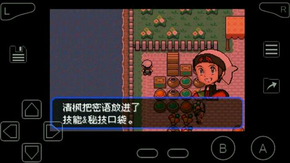 口袋妖怪究极绿宝石