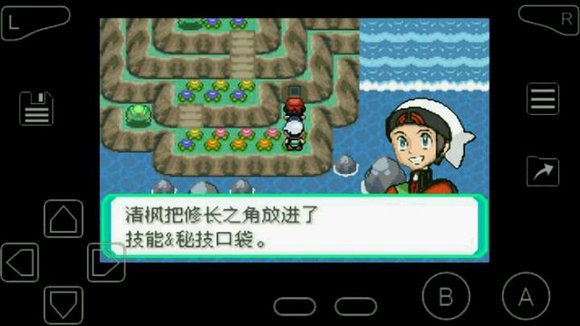 口袋妖怪究极绿宝石