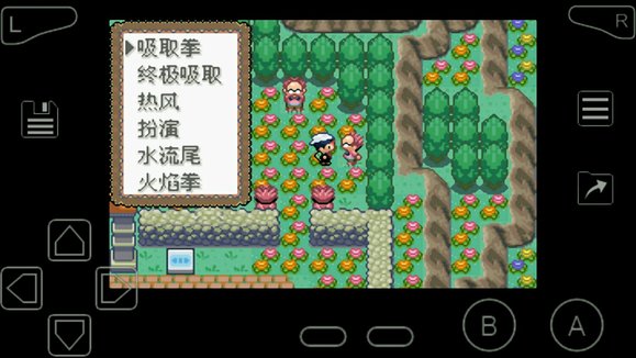 口袋妖怪究极绿宝石