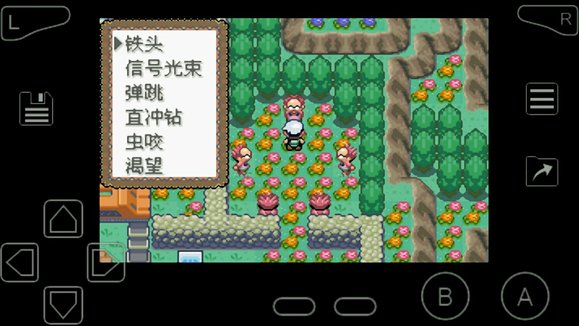 口袋妖怪究极绿宝石