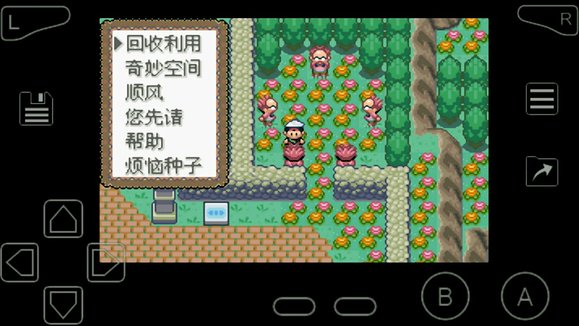 口袋妖怪究极绿宝石