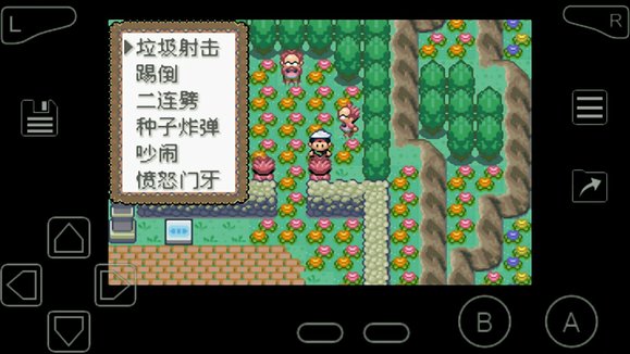 口袋妖怪究极绿宝石