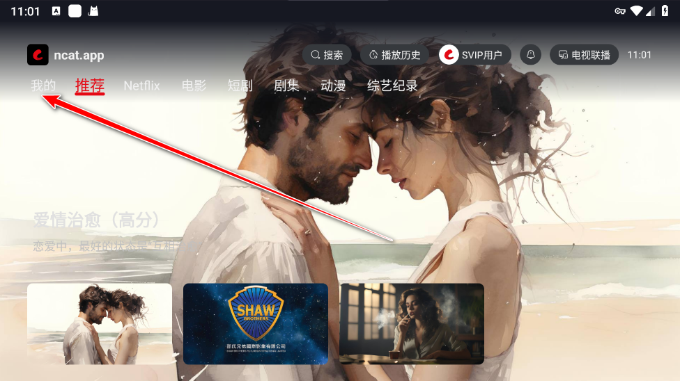 网飞猫TV版