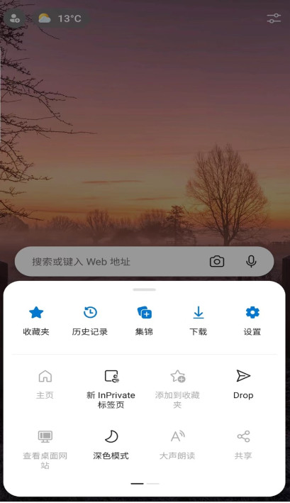 edge canary