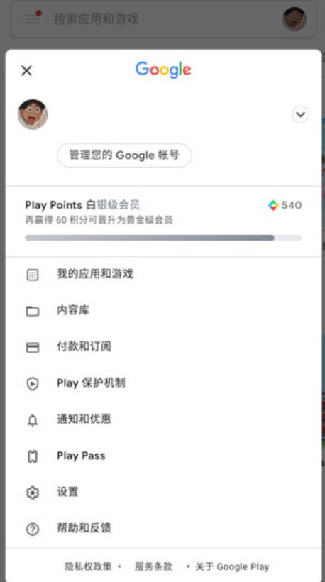 googleplay服务截图3