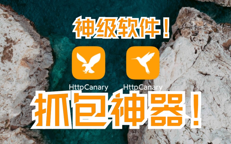 HttpCanary抓包