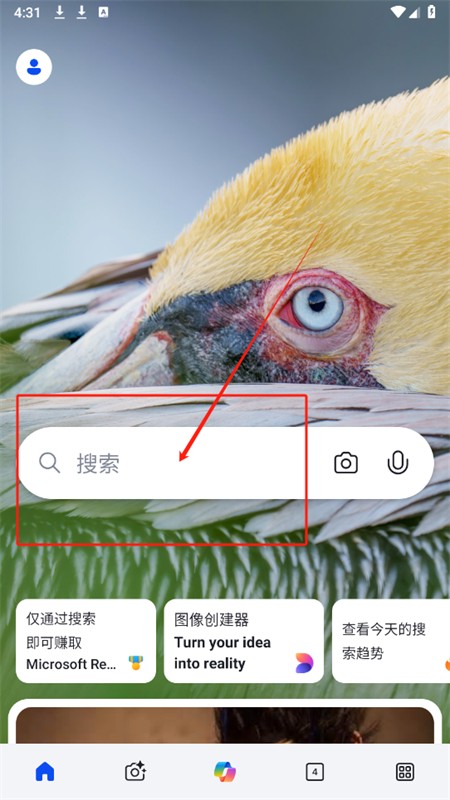 新必应